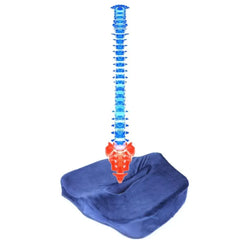 اتش تي،مقعد عصعص،ميمورى فوم،لتخفيف آلام العصعص وأسفل الظهر،HT204