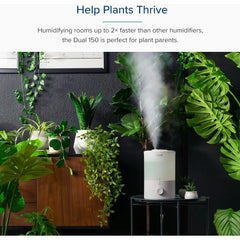 ليفويت،مرطب هواء،مع موزع زيوت عطرية،يعمل لمد 25ساعة،بخار بارد،خزان مياه بسعة 3 لتر،أبيض،LUH-D302-WAE